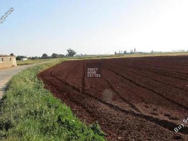 land for sale avgorou famagusta 8833720 image 17009777
