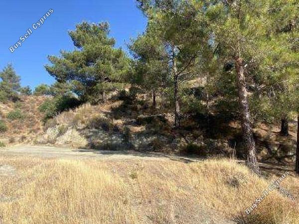 land for sale kakopetria nicosia 8726720 image 16333521