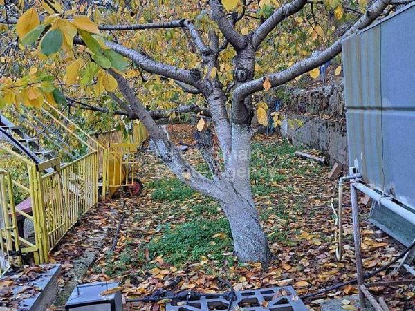 1 bedroom detached house for sale pedoulas nicosia 1383820 image 14622312