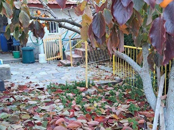 1 bedroom detached house for sale pedoulas nicosia 1383820 image 14622319