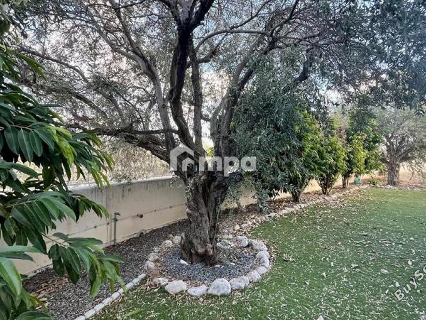 3 bedroom detached house for sale psimolofou nicosia 7788820 image 13115862