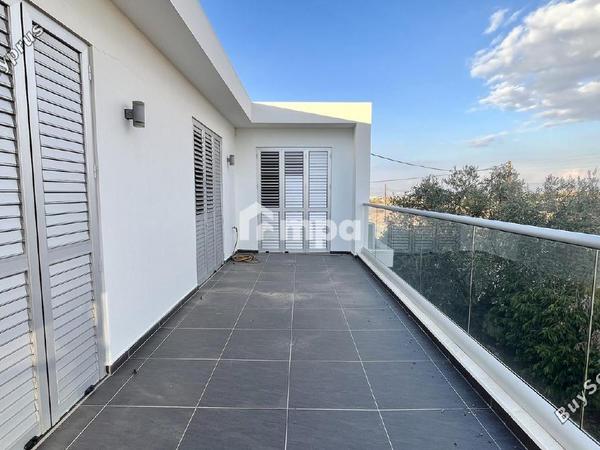3 bedroom detached house for sale psimolofou nicosia 7788820 image 13115872