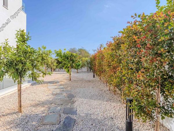 4 bedroom detached house for sale protaras famagusta 1607820 image 5434874