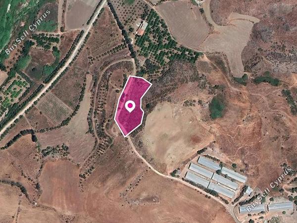 land for sale agia varvara paphos 8629820 image 15869986