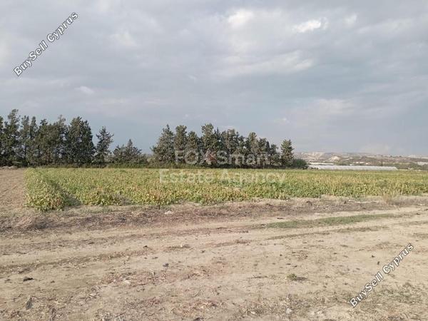 land for sale zygi larnaca 1201820 image 16817724