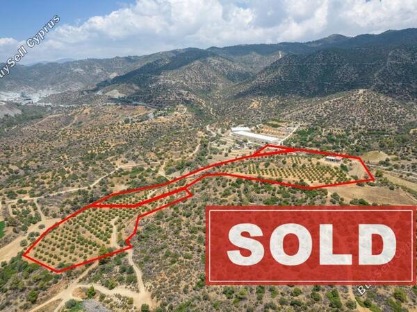 land sold parekklisia limassol 915820 image 797953