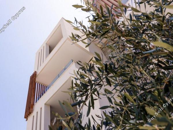 studio building for sale tombs of the kings paphos 8101820 image 13215343