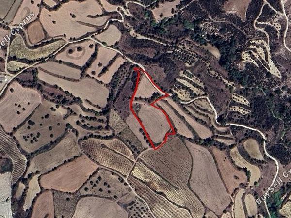 land for sale drynia paphos 8698920 image 16210190