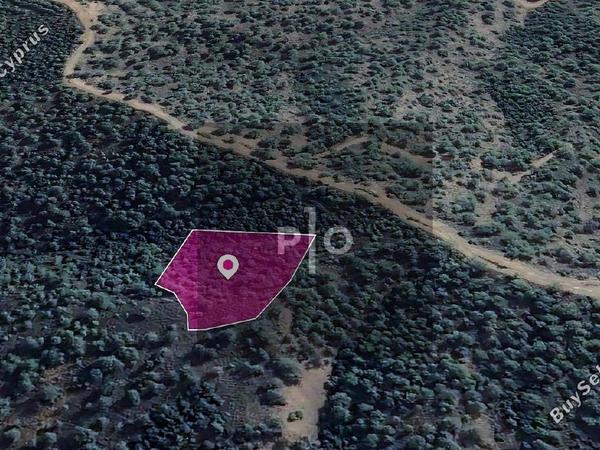 land for sale kampos nicosia 8274920 image 15156331