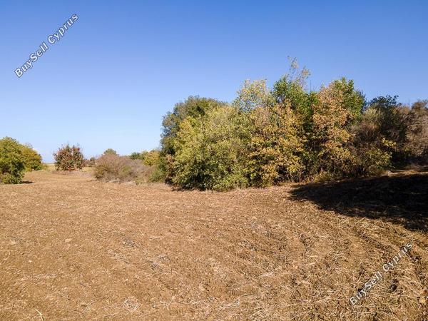 land for sale lysos paphos 8629920 image 16685426