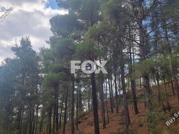 land for sale pano platres limassol 1593920 image 5646151