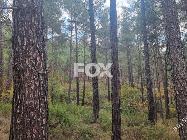 land for sale pano platres limassol 1593920 image 5646154