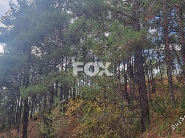 land for sale pano platres limassol 1593920 image 5646158