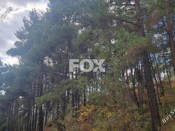 land for sale pano platres limassol 1593920 image 5646160