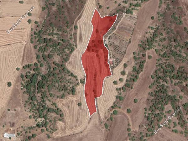 land for sale kato koutrafas nicosia 946030 image 7339810