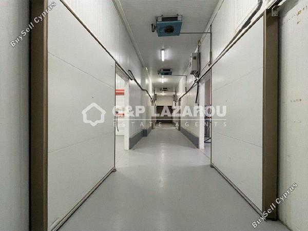studio warehouse for sale dali nicosia 1580030 image 15636048