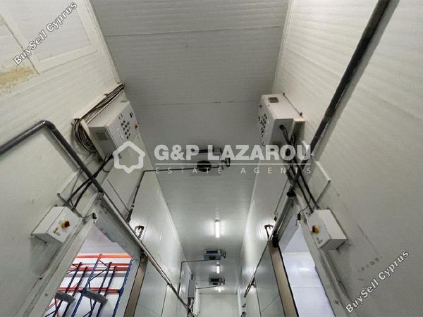 studio warehouse for sale dali nicosia 1580030 image 15636052