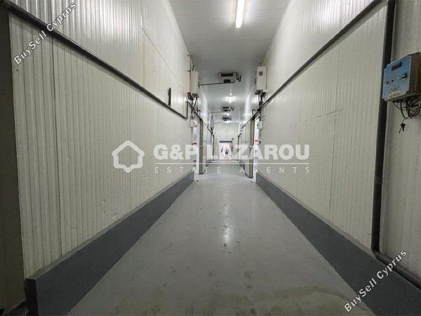 studio warehouse for sale dali nicosia 1580030 image 15636054