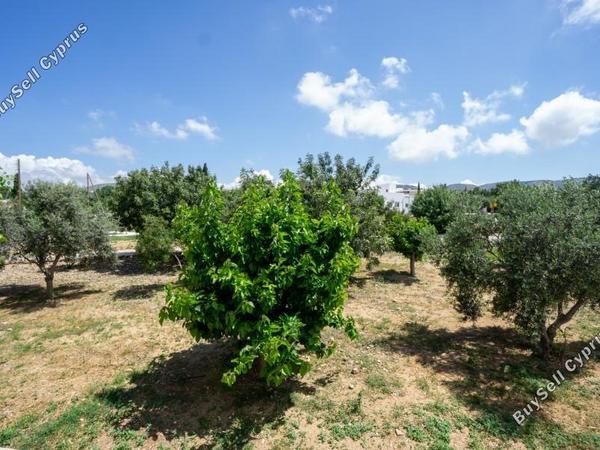 2 bedroom apartment for rent mesogi paphos 8765130 image 16557114