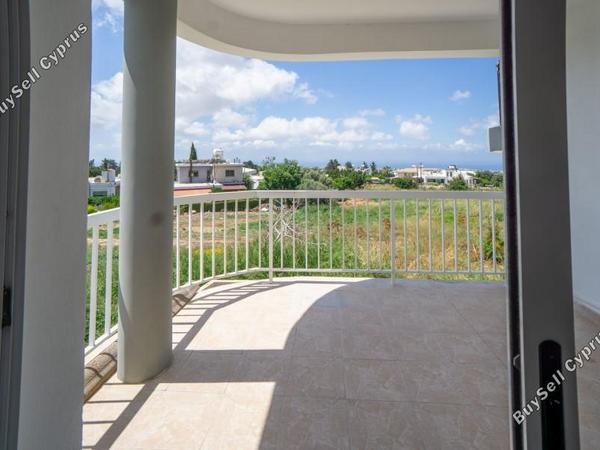 2 bedroom apartment for rent mesogi paphos 8765130 image 16557117