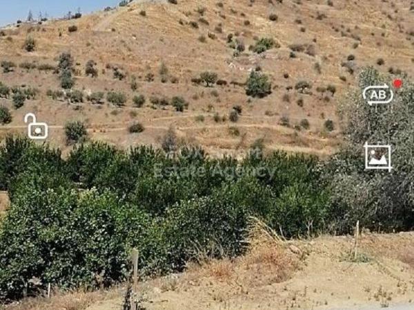 land for sale melini larnaca 1387130 image 9320105