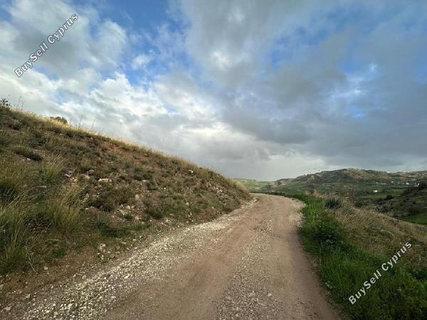 land for sale nata paphos 7533130 image 15596796