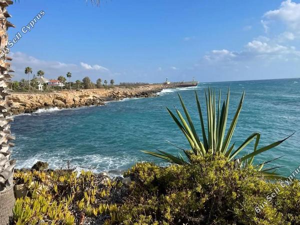 4 bedroom detached house for sale peyia paphos 8612230 image 15808497