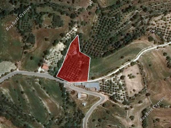land for sale dora limassol 946230 image 16009107