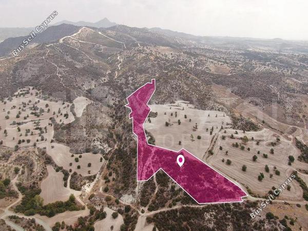 land for sale skarinou larnaca 7872230 image 15714419