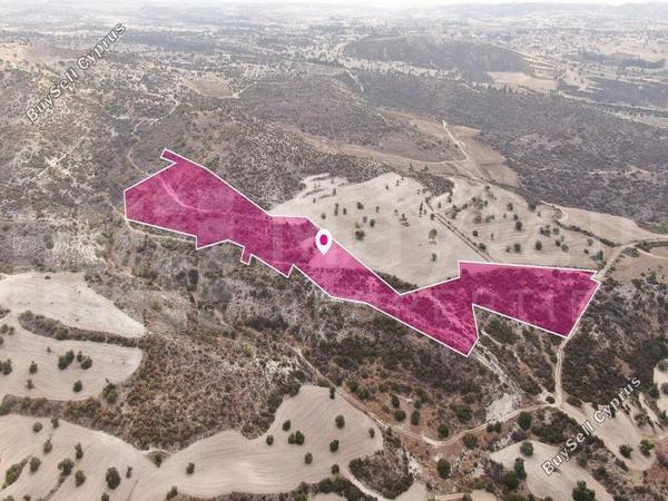 land for sale skarinou larnaca 7872230 image 15714420