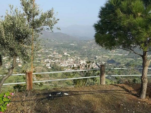 2 bedroom detached house for sale asgata limassol 8565330 image 15664874