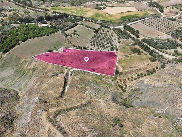 land for sale agia varvara paphos 1769330 image 13347552