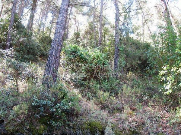 land for sale moutoullas nicosia 1153330 image 5169937