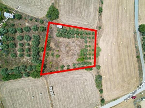 land for sale pera orinis nicosia 1393330 image 3348324