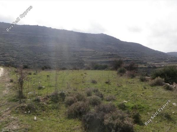 land for sale pachna limassol 8106430 image 15596083