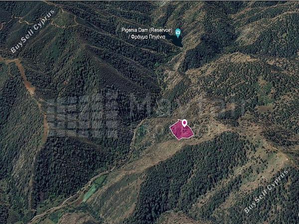 land for sale pigenia nicosia 7872430 image 11385183