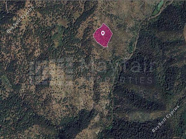 land for sale pigenia nicosia 7872430 image 11385184