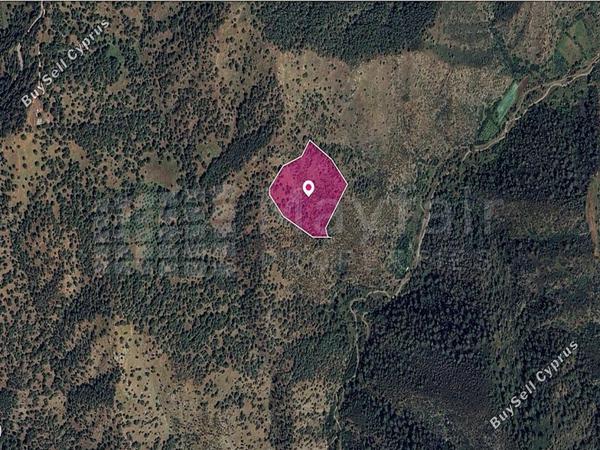 land for sale pigenia nicosia 7872430 image 11385185