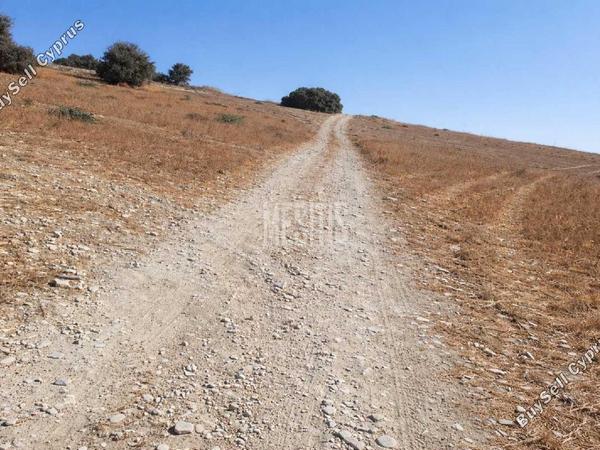 plot for sale alaminos larnaca 8249430 image 13880272