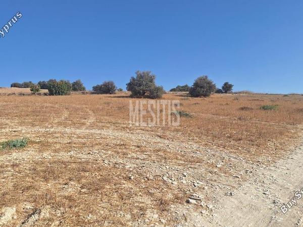 plot for sale alaminos larnaca 8249430 image 13880273