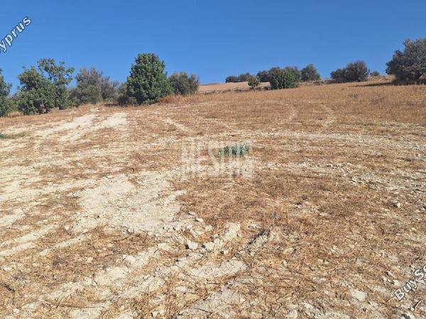 plot for sale alaminos larnaca 8249430 image 13880274