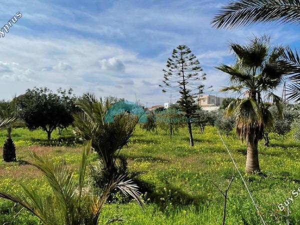 3 bedroom detached house for sale agioi trimithias nicosia 1311530 image 5445732