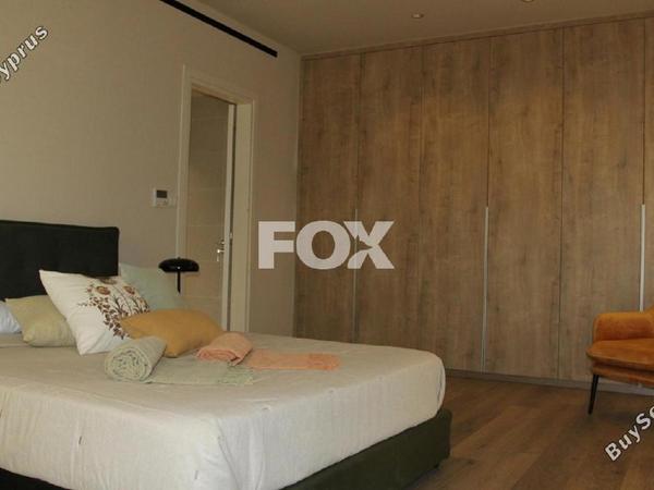3 bedroom detached house for sale mesogi paphos 8076530 image 13062774