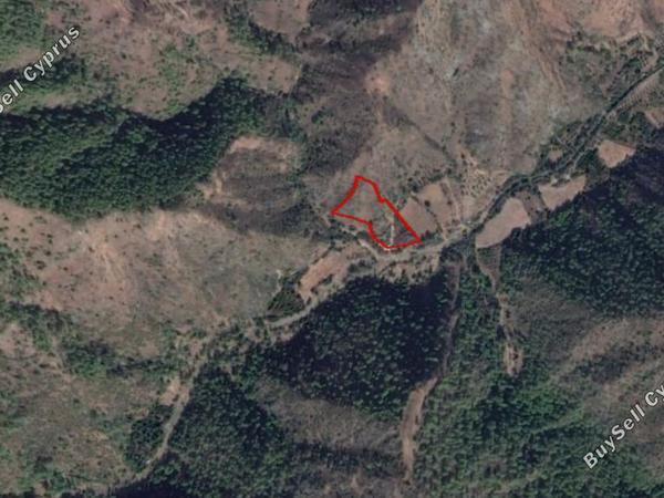 land for sale pigenia nicosia 829530 image 6569785