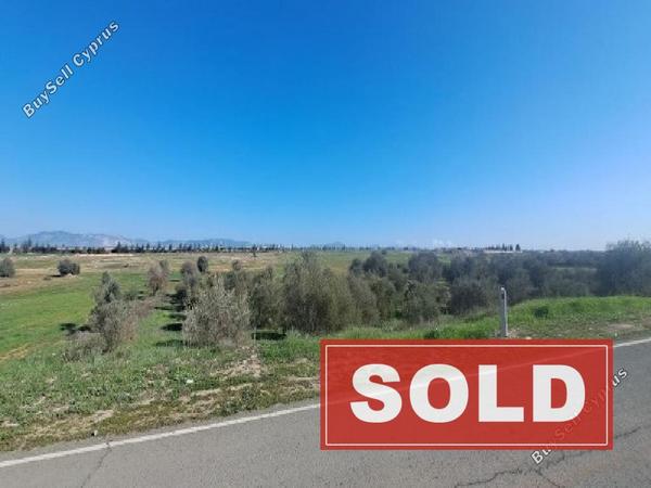land sold kokkinotrimithia nicosia 8244530 image 13833489