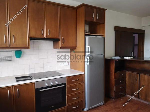 2 bedroom apartment for rent dasoupoli nicosia 8748630 image 16467096