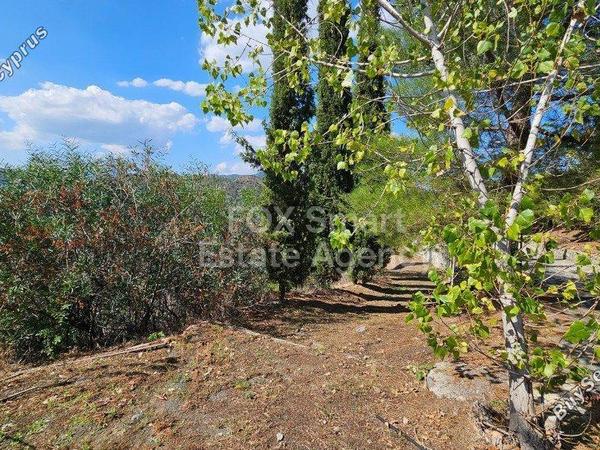 3 bedroom detached house for sale gourri nicosia 1224630 image 7283293