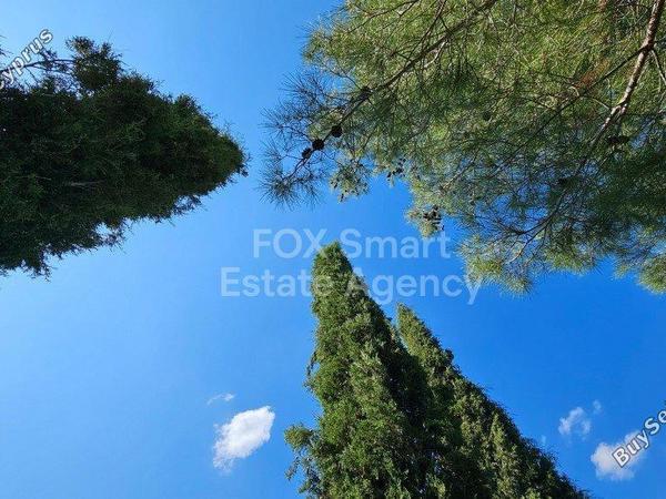 3 bedroom detached house for sale gourri nicosia 1224630 image 7283302
