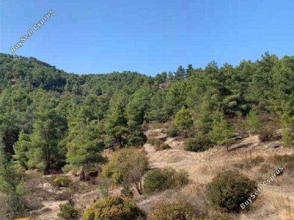 land for sale palaichori morfou nicosia 826630 image 15603244