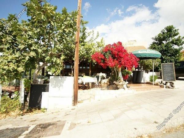 studio restaurant for sale tala paphos 8238630 image 14244485